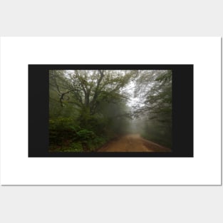 Road through misty forest Posters and Art